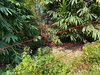 listing thumbnail image 16