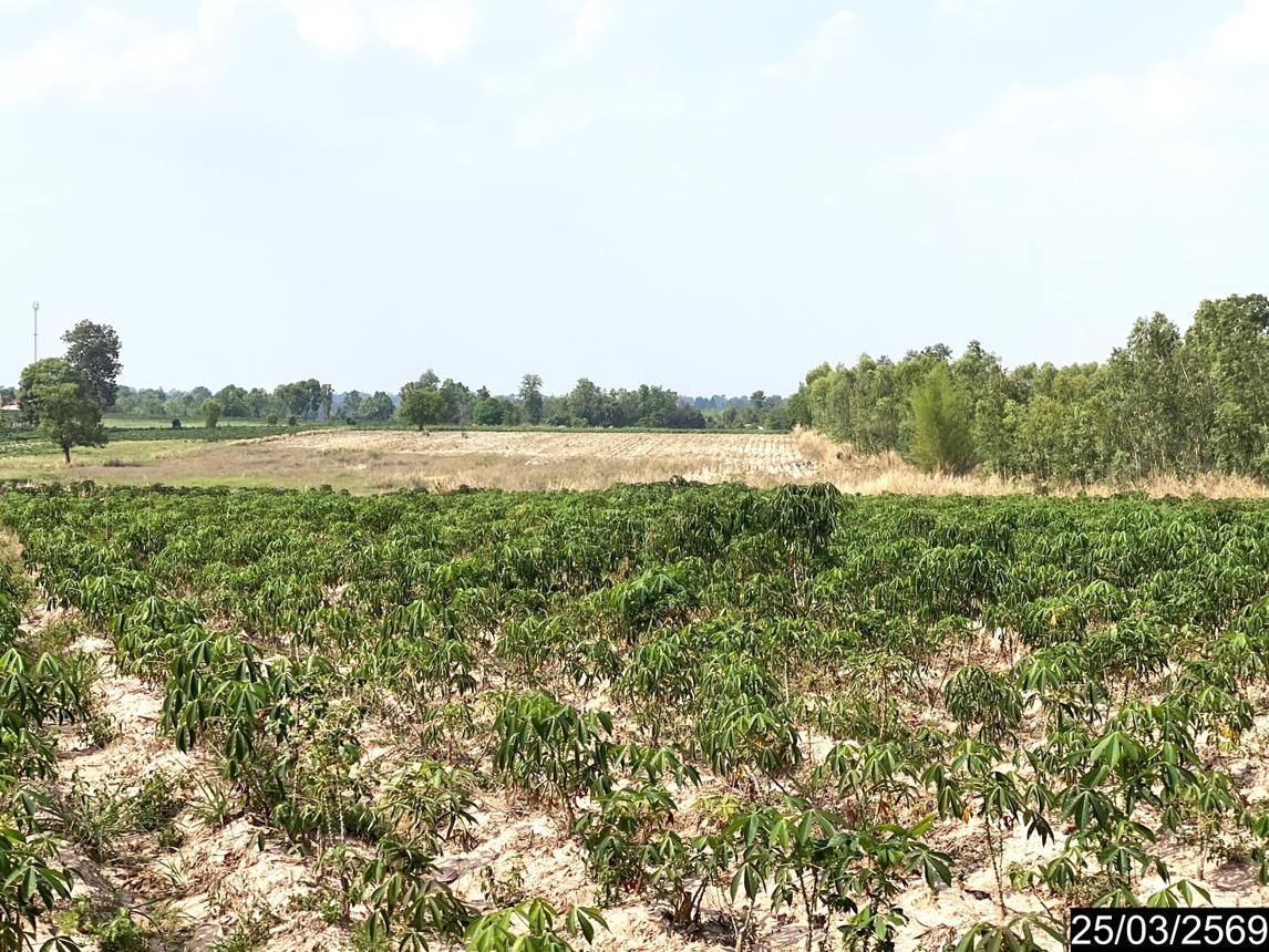 picture LAND 12300 Sq.w. Nong Han Udon Thani for 2.3M - 15/24