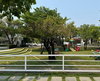 listing thumbnail image 13