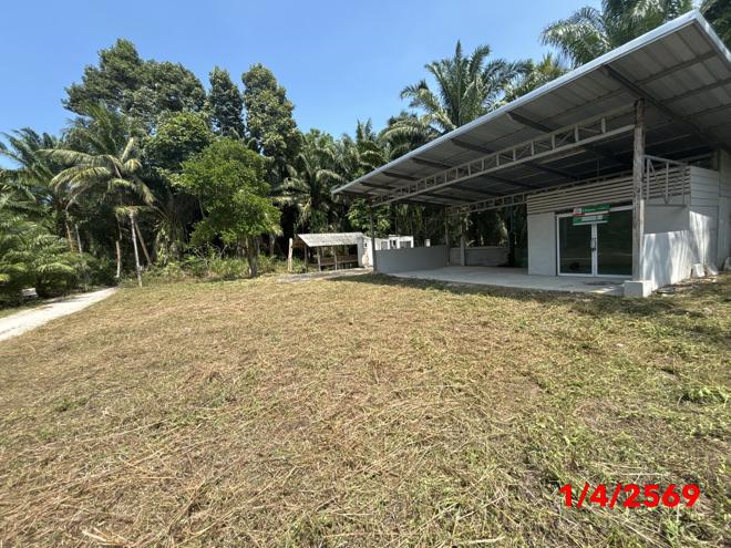 รูป เพิงอเนกประสงค์ 174 ตร.วา ขนอม นครศรีธรรมราช 737,000 - รูปที่ 2/20