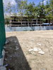 listing thumbnail image 39