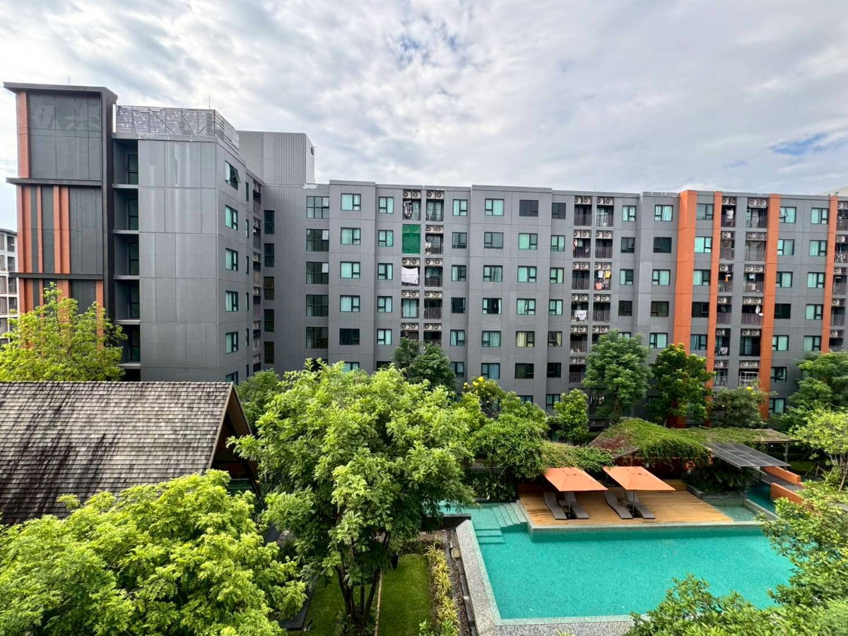 รูป ให้เช่า Escent ville condo เอสเซ็นท์ วิลล์ ติดเซ็นทรัลเฟส วิวสระว่ายน้ำ และสวน - รูปที่ 9/13
