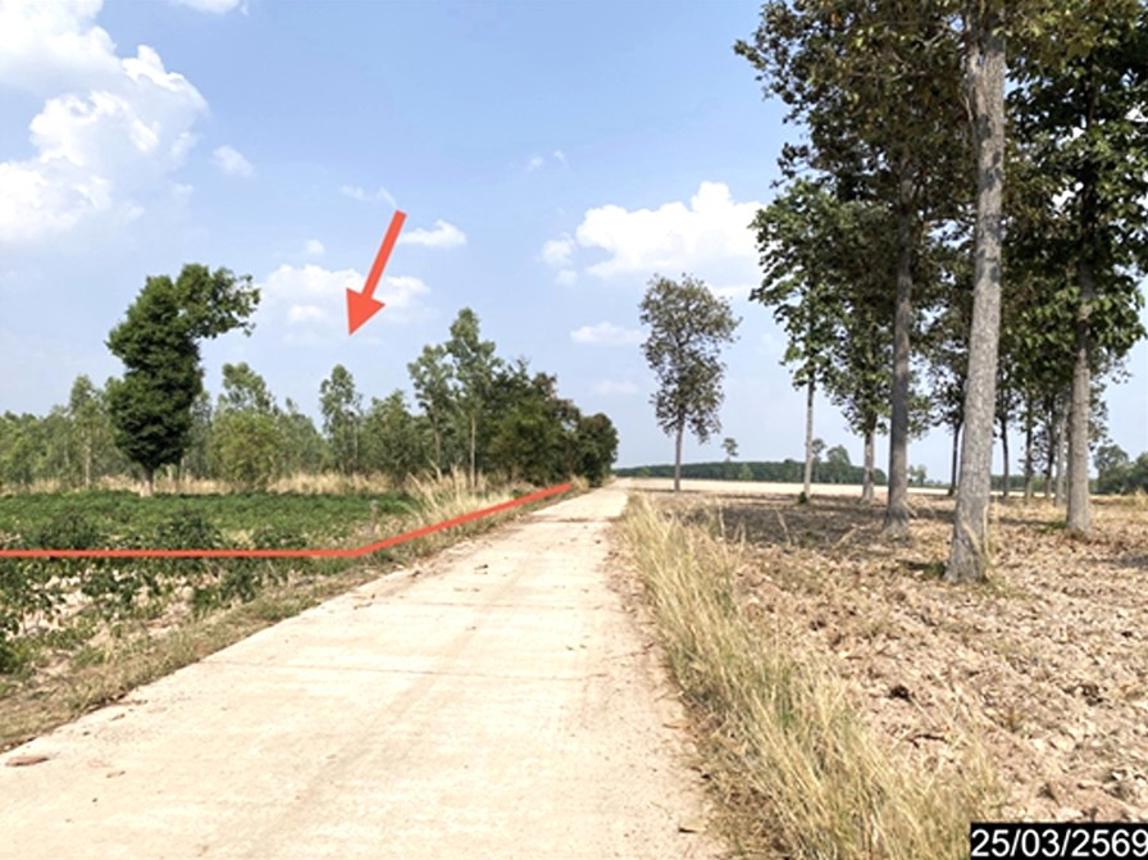 picture LAND 12300 Sq.w. Nong Han Udon Thani for 2.3M - 18/24