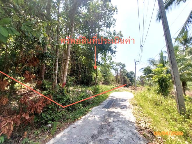 picture LAND 2986 Sq.w. Ko Samui Surat Thani for 20.9M - 2/12