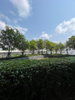 listing thumbnail image 15