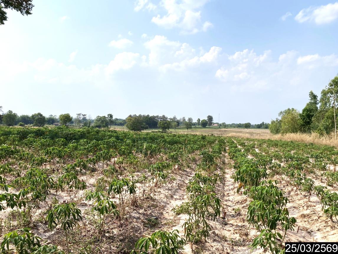 picture LAND 12300 Sq.w. Nong Han Udon Thani for 2.3M - 16/24