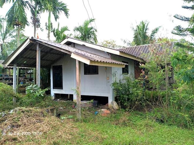 รูป บ้านเดี่ยว 2793 ตร.วา ระโนด สงขลา 4.2M - รูปที่ 17/50