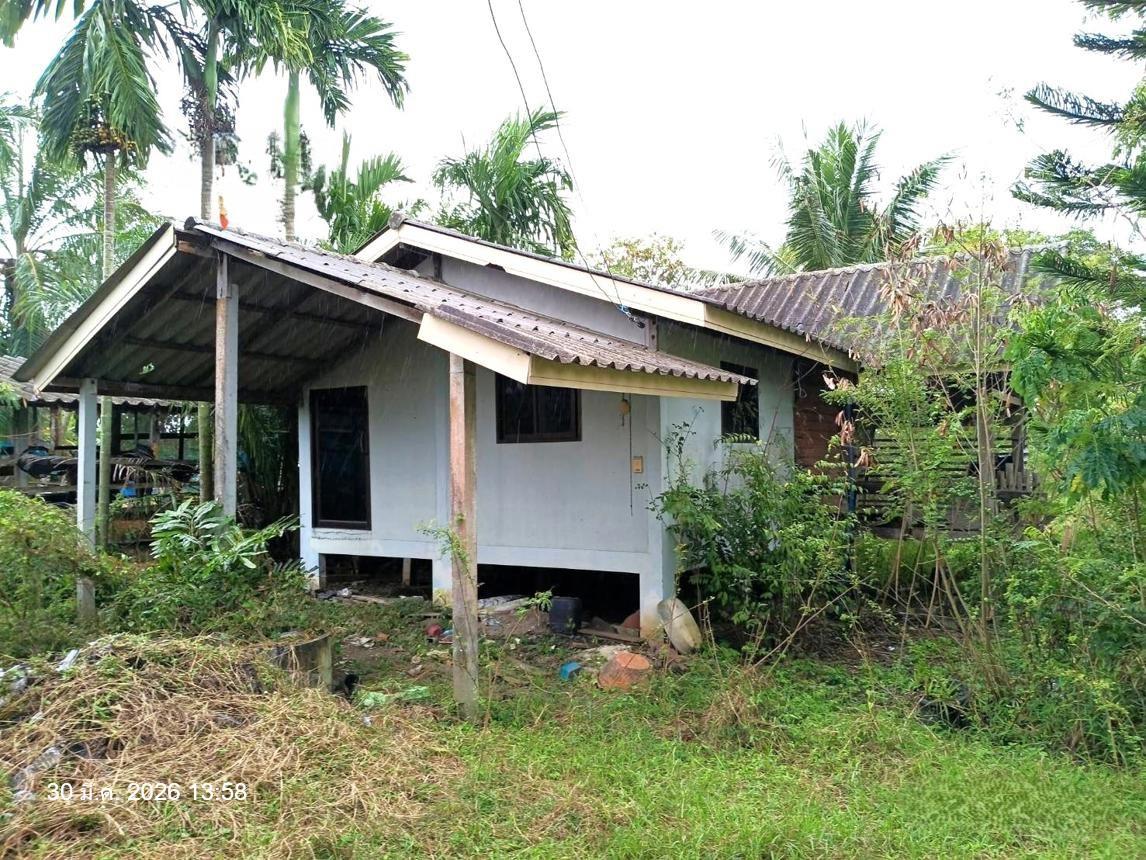 รูป บ้านเดี่ยว 2793 ตร.วา ระโนด สงขลา 4.2M - รูปที่ 41/50
