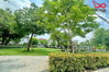 listing thumbnail image 22