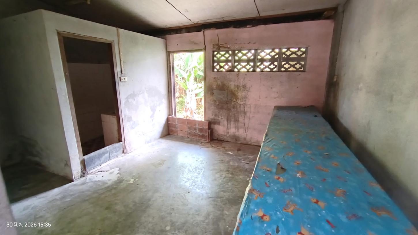 รูป บ้านเดี่ยว 223 ตร.วา ระโนด สงขลา 12M - รูปที่ 36/40