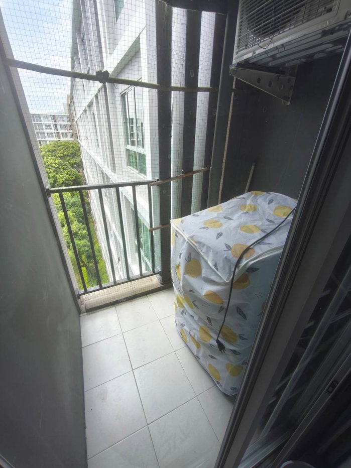 รูป ให้เช่า D condo sign อยู่ติดกับเซ็นทรัลเฟสฯเชียงใหม่ ว่างพร้อมอยู่ วิวสระว่ายน้ำ - รูปที่ 11/19