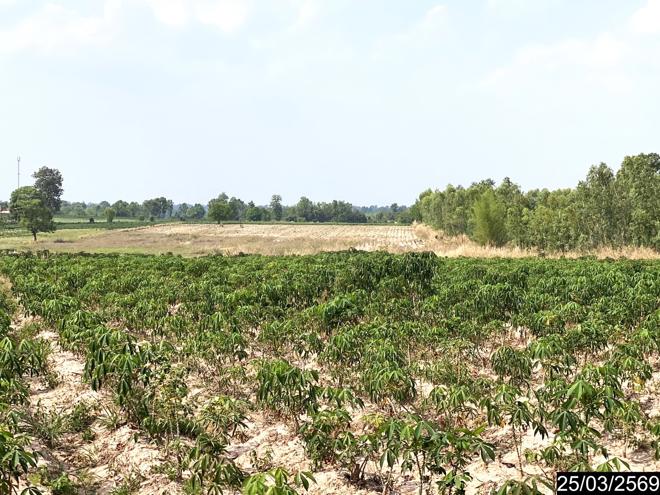 picture LAND 12300 Sq.w. Nong Han Udon Thani for 2.3M - 5/24