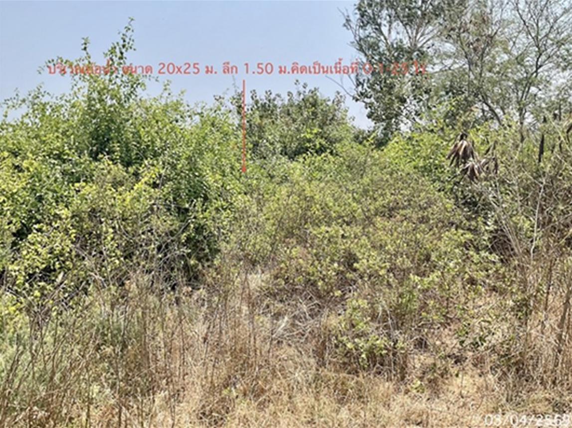 รูป ที่ดินว่างเปล่า 1800 ตร.วา เมืองเพชรบุรี เพชรบุรี 1.3M - รูปที่ 12/16