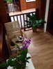 listing thumbnail image 9