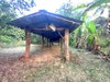 listing thumbnail image 21