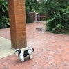 listing thumbnail image 13