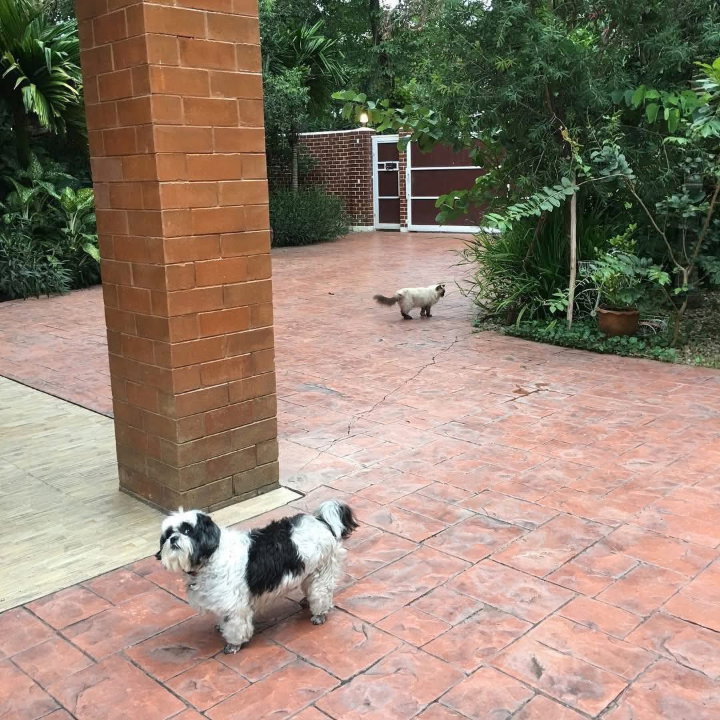 รูป ขายบ้านเดี่ยวสองชั้น ในโครงการ หมู่บ้านวังตาล ทำเล เชียงใหม่-หางดง เฟอร์นิเจอร์ครบ พร้อมเข้าอยู่ บ้านสวยร่วมรื่น มีความเป็นส่วนตัว-SW003645 - รูปที่ 14/15