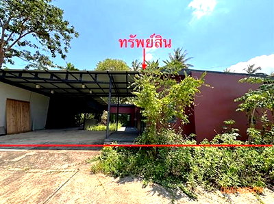 บ้านเดี่ยว เกาะสมุย สุราษฎร์ธานี : บ้านเดี่ยว 100 ตร.วา เกาะสมุย สุราษฎร์ธานี 4.6M