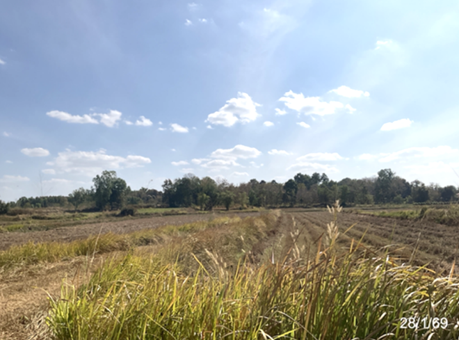 picture LAND 4342 Sq.w. Huai Phung Kalasin for 3.5M - 6/16