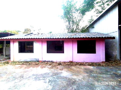 บ้านเดี่ยว ขอนแก่น : บ้านเดี่ยว 810 ตร.วา ชุมแพ ขอนแก่น 2.5M