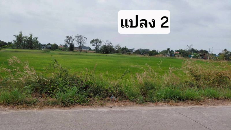 รูป ขายที่ดินสวย หนองหงส์ พานทอง ชลบุรี ใกล้หมู่บ้านวิลล่าโคโม่ - รูปที่ 10/12