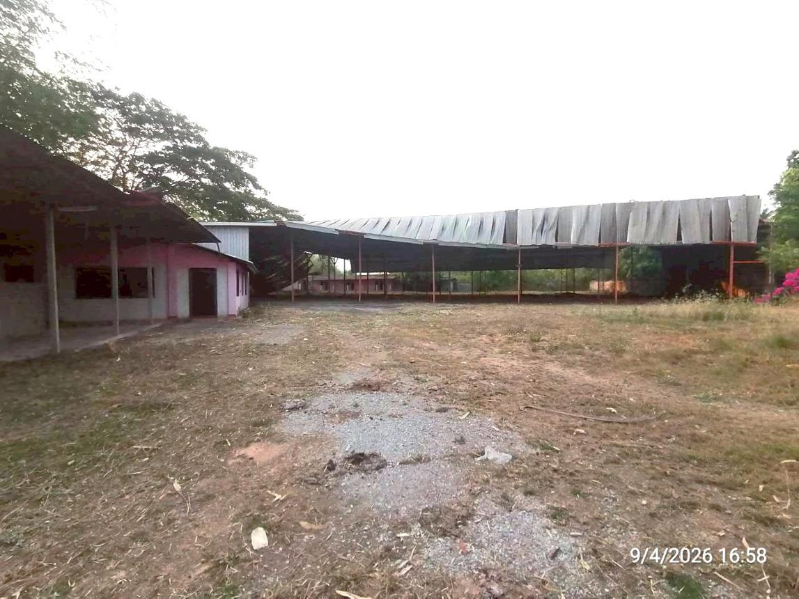 รูป บ้านเดี่ยว 810 ตร.วา ชุมแพ ขอนแก่น 2.5M - รูปที่ 38/58