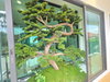 listing thumbnail image 44