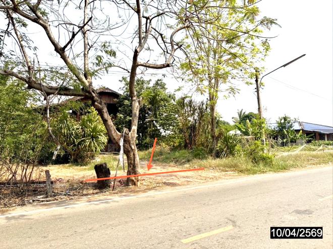 รูป ที่ดินว่างเปล่า 10632 ตร.วา แก้งคร้อ ชัยภูมิ 2.8M - รูปที่ 3/18