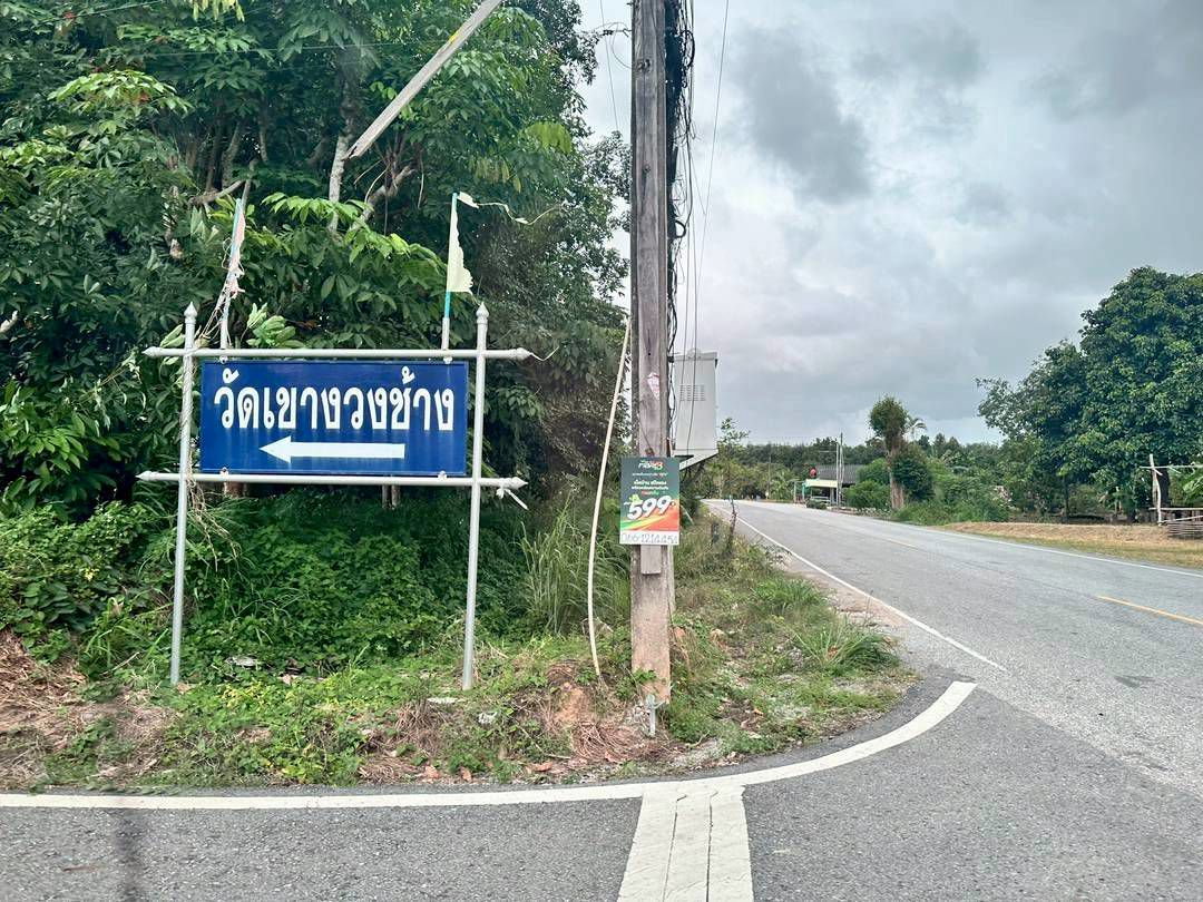 รูป ขายที่ดินบรรยากาศดี เห็นวิวเขาโตๆ ระยอง เนื้อที่ 1 ไร่ วิวสวย ต.บางบุตร อ.บ้านค่าย ระยอง - รูปที่ 2/8
