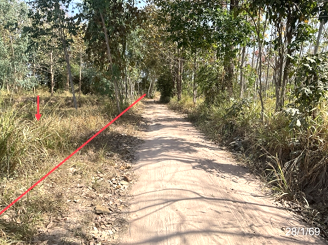 picture LAND 4342 Sq.w. Huai Phung Kalasin for 3.5M - 2/16