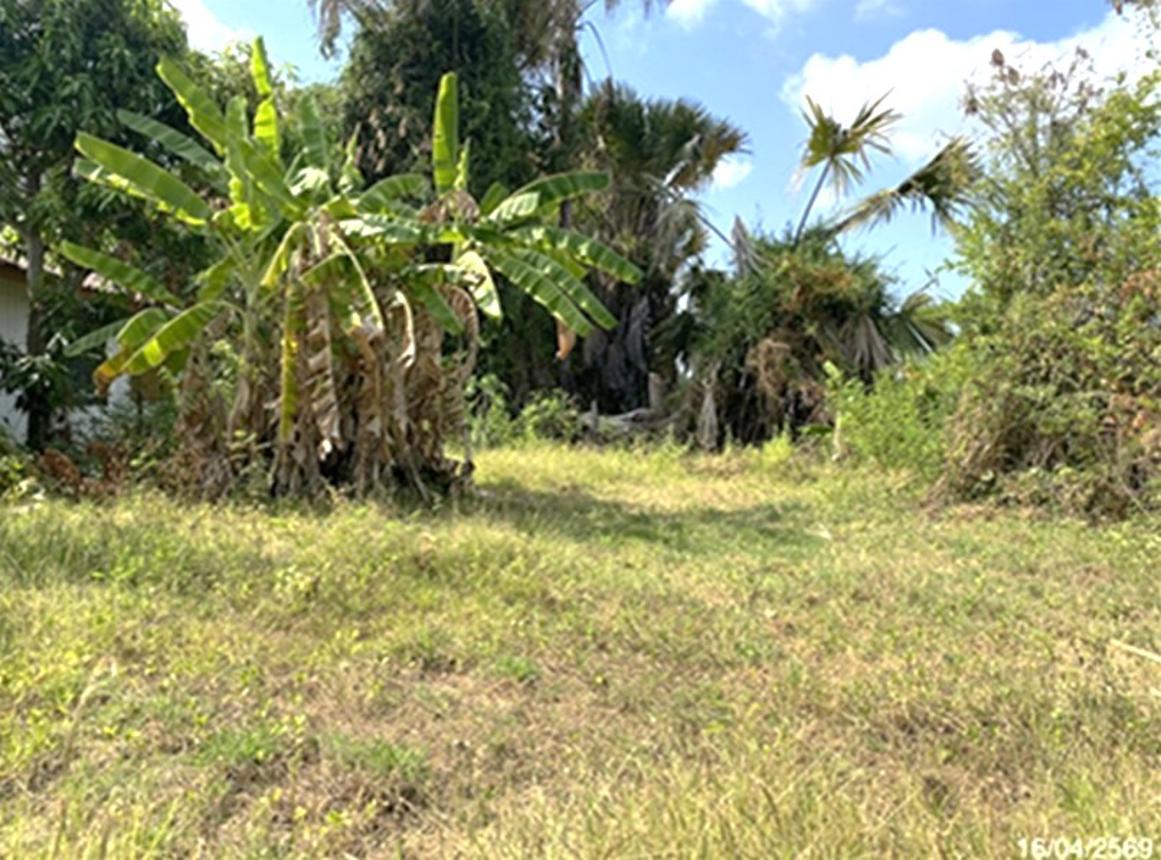picture LAND 68.5 Sq.w. Sathing Phra Songkhla for 427,000 - 8/12