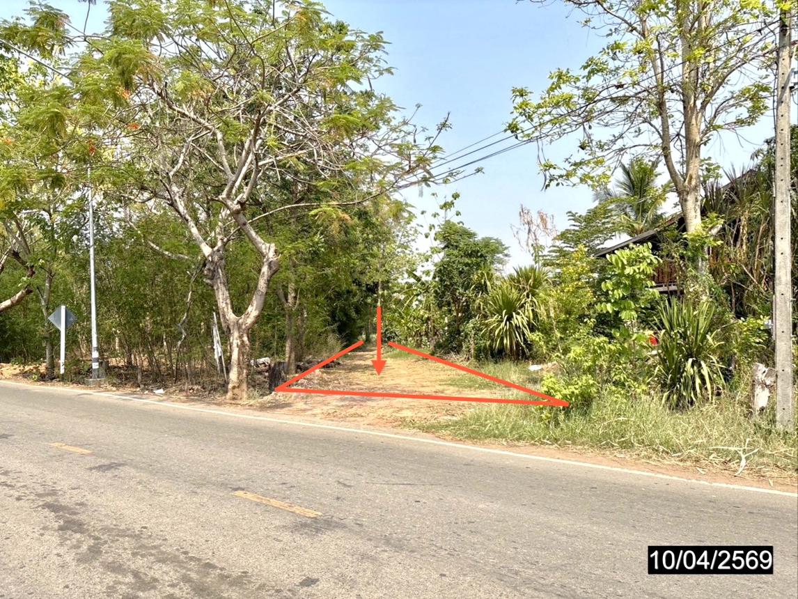 รูป ที่ดินว่างเปล่า 10632 ตร.วา แก้งคร้อ ชัยภูมิ 2.8M - รูปที่ 8/18