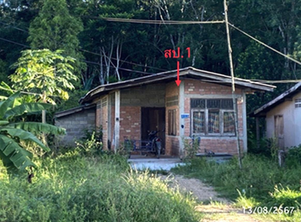 รูป บ้านเดี่ยว 121.9 ตร.วา ปากพะยูน พัทลุง 1.5M - รูปที่ 7/14