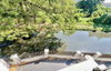 listing thumbnail image 11
