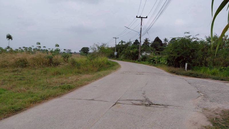 รูป ขายที่ดินสวย หนองหงส์ พานทอง ชลบุรี ใกล้หมู่บ้านวิลล่าโคโม่ - รูปที่ 6/12