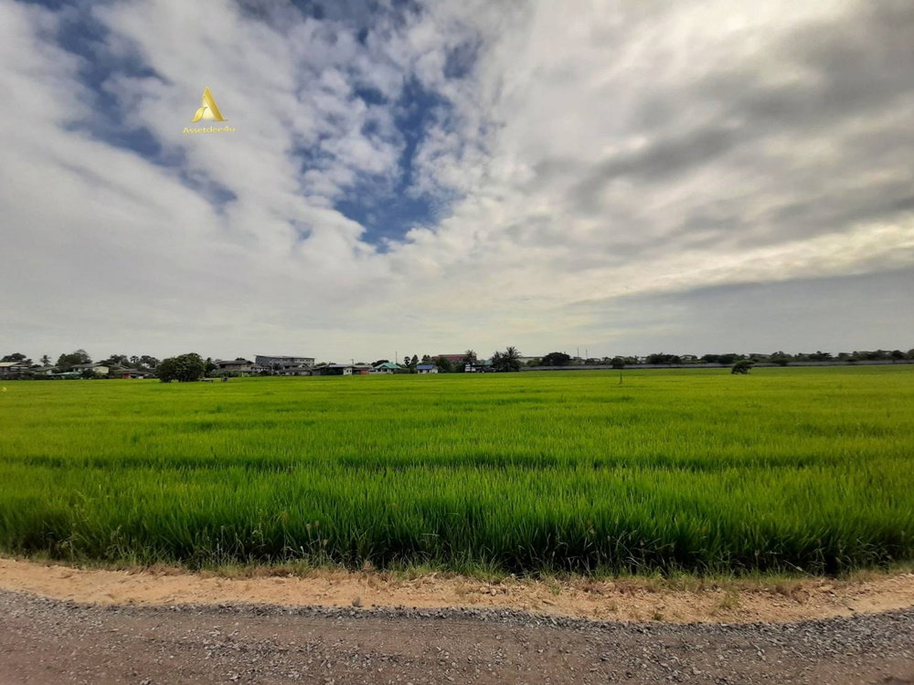 รูป ขายที่ดินสีม่วงเข้ม ลำลูกกา คลอง9 ที่ดิน 7 ไร่ ทำโรงงานได้ มีแปลงเล็กเกือบ 2 ไร่ - รูปที่ 4/6