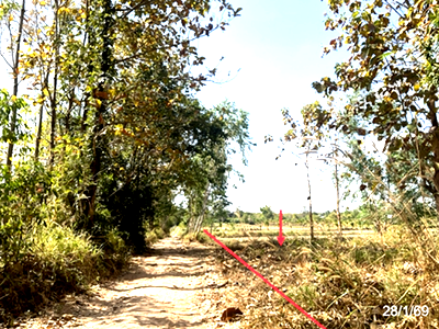 Land for sale Huai Phung Kalasin : LAND 4342 Sq.w. Huai Phung Kalasin for 3.5M