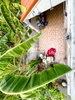 listing thumbnail image 29