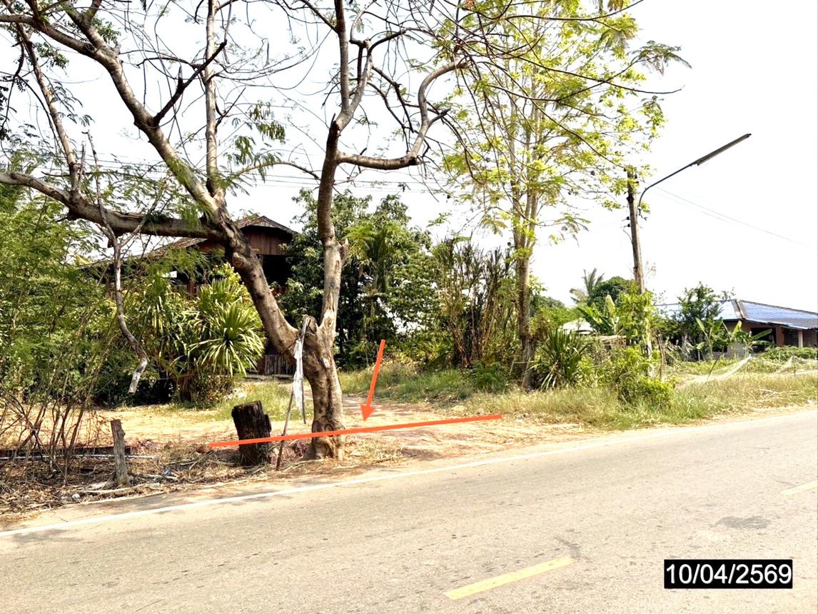 รูป ที่ดินว่างเปล่า 10632 ตร.วา แก้งคร้อ ชัยภูมิ 2.8M - รูปที่ 10/18