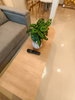 listing thumbnail image 20