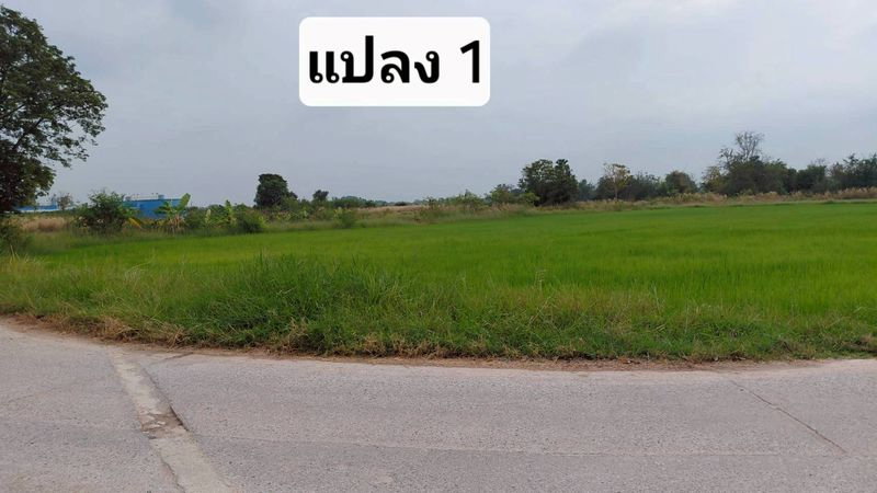 รูป ขายที่ดินสวย หนองหงส์ พานทอง ชลบุรี ใกล้หมู่บ้านวิลล่าโคโม่ - รูปที่ 2/12