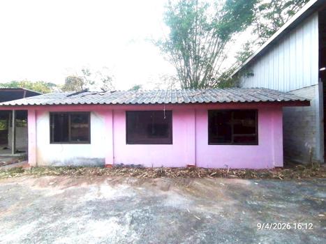 รูป บ้านเดี่ยว 810 ตร.วา ชุมแพ ขอนแก่น 2.5M - รูปที่ 55/58
