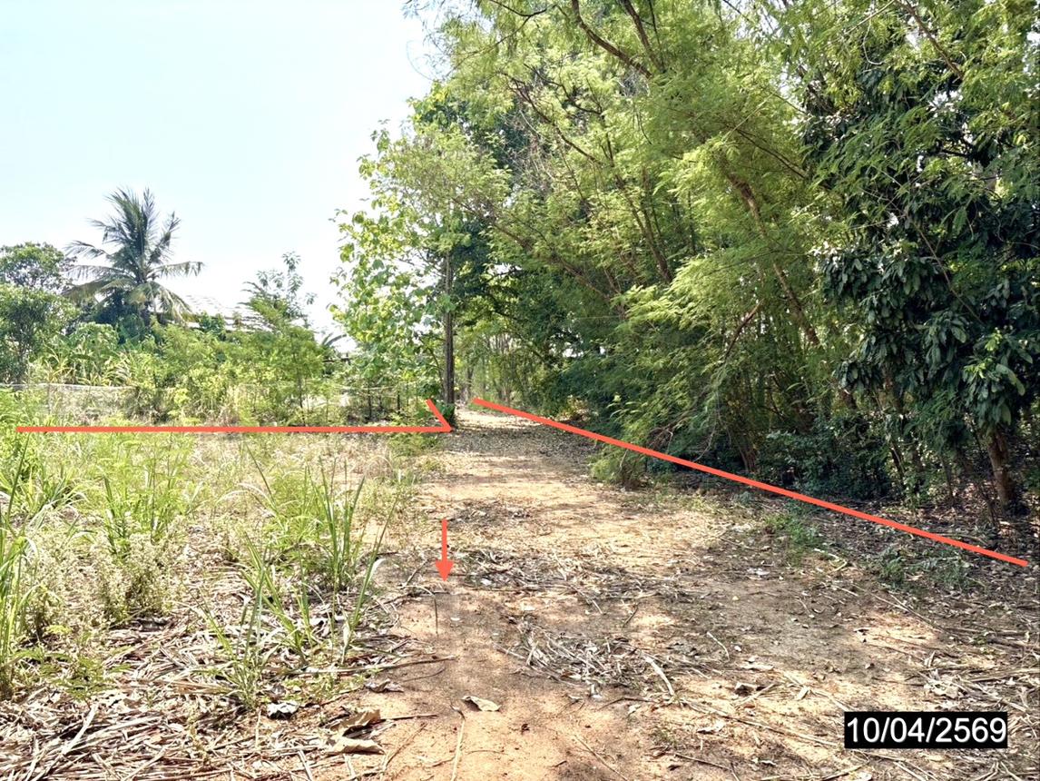 รูป ที่ดินว่างเปล่า 10632 ตร.วา แก้งคร้อ ชัยภูมิ 2.8M - รูปที่ 12/18