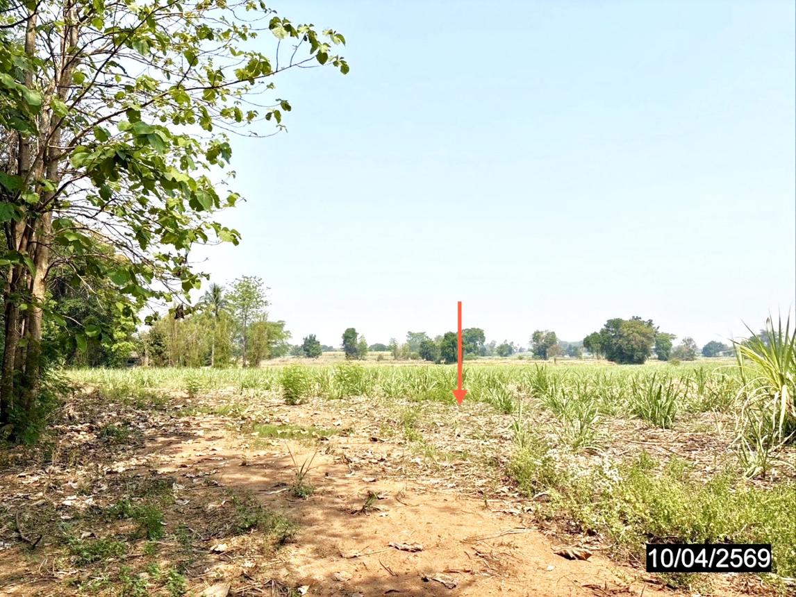 รูป ที่ดินว่างเปล่า 10632 ตร.วา แก้งคร้อ ชัยภูมิ 2.8M - รูปที่ 14/18
