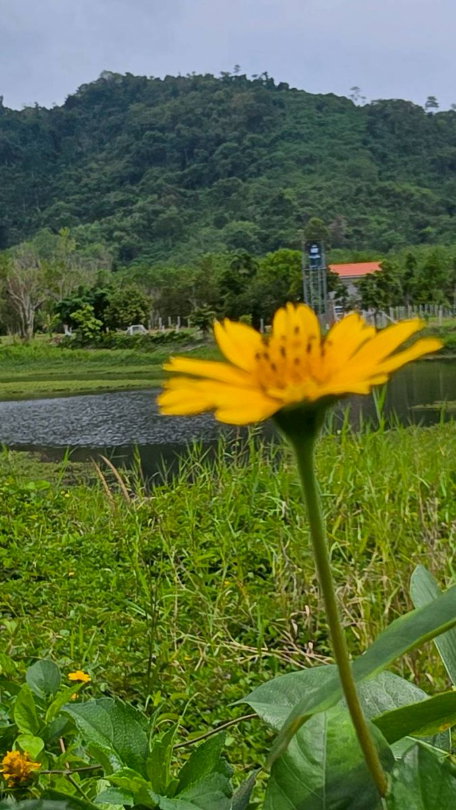 รูป ขายที่ดินบรรยากาศดี เห็นวิวเขาโตๆ ระยอง เนื้อที่ 1 ไร่ วิวสวย ต.บางบุตร อ.บ้านค่าย ระยอง - รูปที่ 3/8