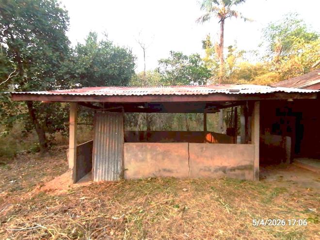 รูป บ้านเดี่ยว 1081.4 ตร.วา ภูเวียง ขอนแก่น 1.4M - รูปที่ 14/36