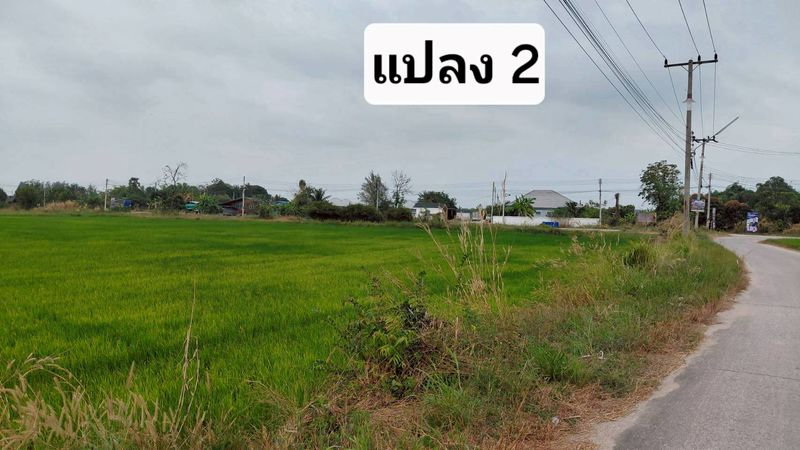 รูป ขายที่ดินสวย หนองหงส์ พานทอง ชลบุรี ใกล้หมู่บ้านวิลล่าโคโม่ - รูปที่ 9/12