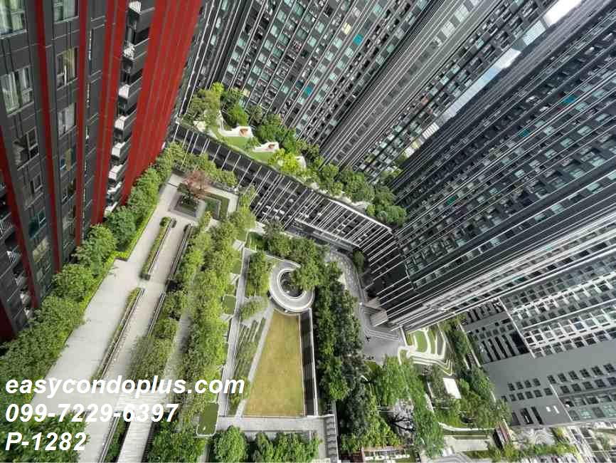 รูป P-1282 วิวสวนสวย! Life Asoke Hype ห้องสตูดิโอ ใกล้ MRT พระราม 9 และเซ็นทรัล พระราม 9 ราคา 18,000 บาท l Line Id: @easycondoplus l 099-229-6397 - รูปที่ 11/12