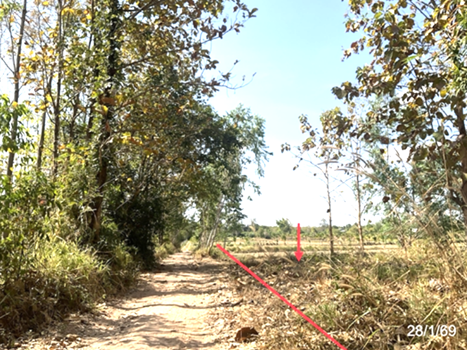 picture LAND 4342 Sq.w. Huai Phung Kalasin for 3.5M - 13/16