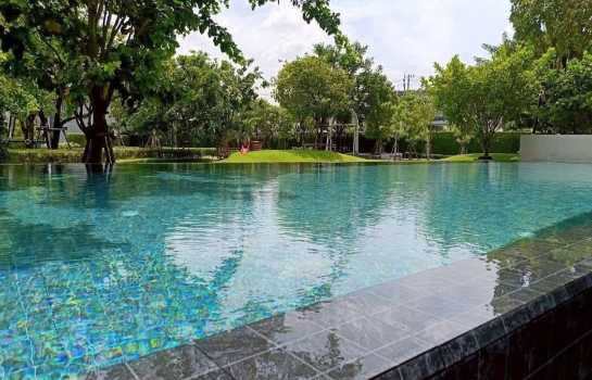 รูป ให้ เช่าด่วน บ้านแฝดพลีโนสุขุมวิทบางนา 3 ราคา 30,000 ต่อเดือน ภายในเดือนพฤษภาคมนี้เท่านั้น - รูปที่ 8/9